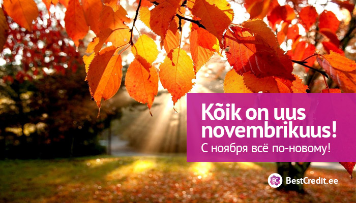 BestCredit novembrikuu uuendused